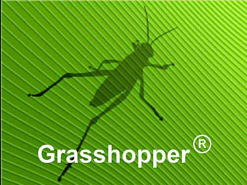  Grasshopper