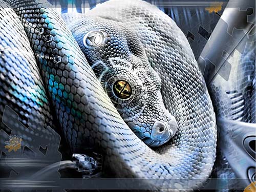 Penetrating with python